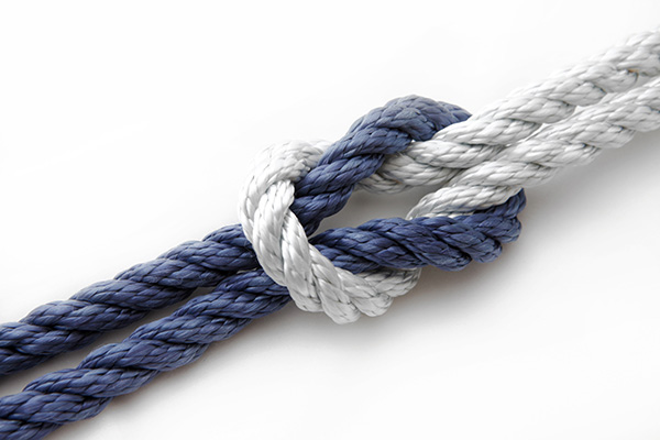 Ship Knot Image